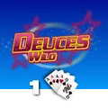 Deuces Wild 1 Hand - SUMMER138