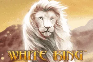 White King - SUMMER138