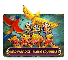 Bird Paradise - SUMMER138
