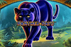 Panther Pays - SUMMER138