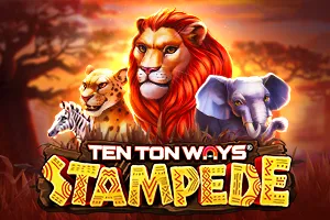 Ten Ton Ways Stampede - SUMMER138