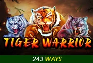 Spadegaming : Tiger Warrior - SUMMER138