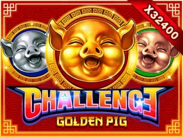 PLAYSTAR : FEATURE BUY・GOLDEN PIG - SUMMER138