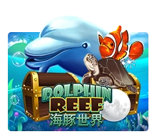 Joker123 : Dolphin Reef - SUMMER138
