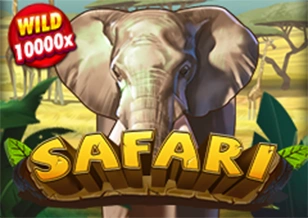 Safari - SUMMER138