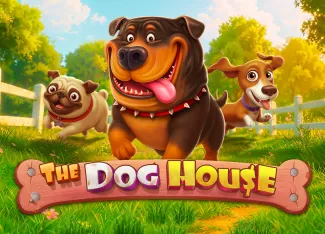 Pragmatic : The Dog House - SUMMER138